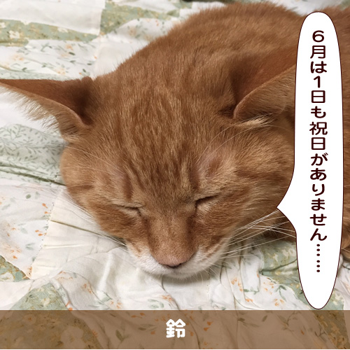 20190601_touko.jpg