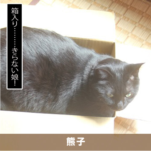 20200527_touko.jpg