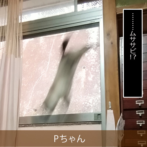 20220301_touko.jpg