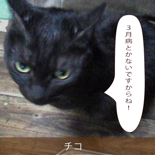 20220306_touko.jpg