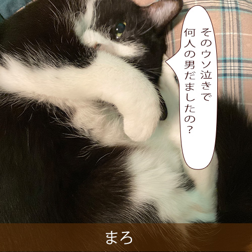 20220316_touko.jpg
