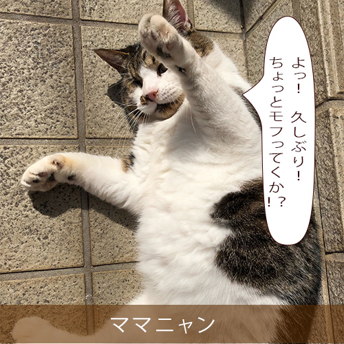 20220327_touko.jpg