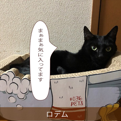 20220506_touko.jpg