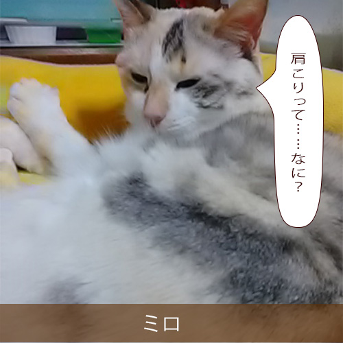20220509_touko.jpg