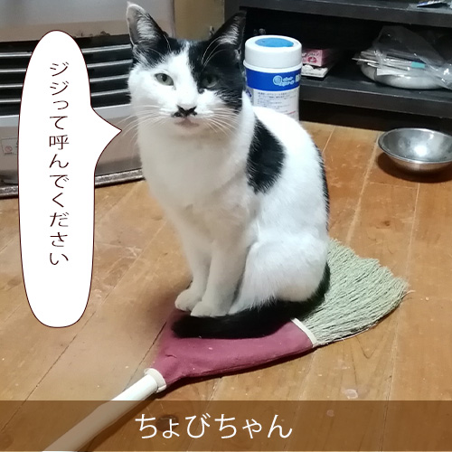 20220511_touko.jpg