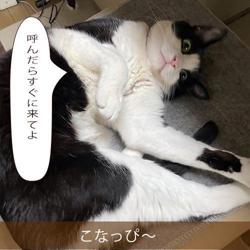 20220512_touko.jpg
