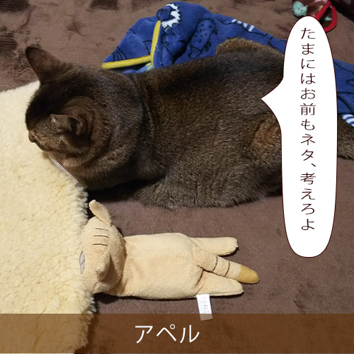 20220513_touko.jpg