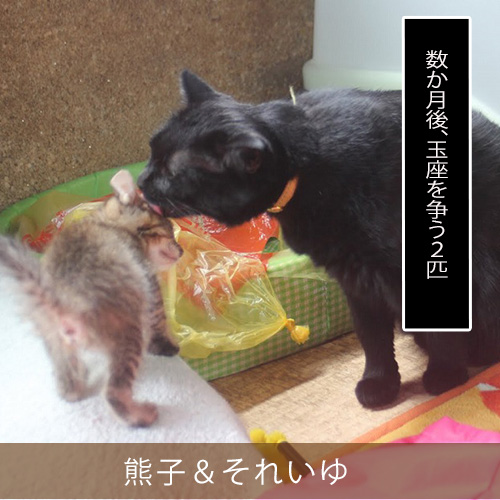 20220519_touko.jpg