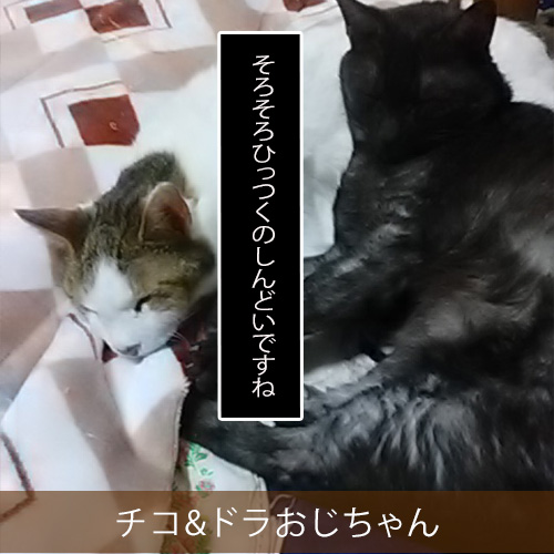 20220603_touko.jpg