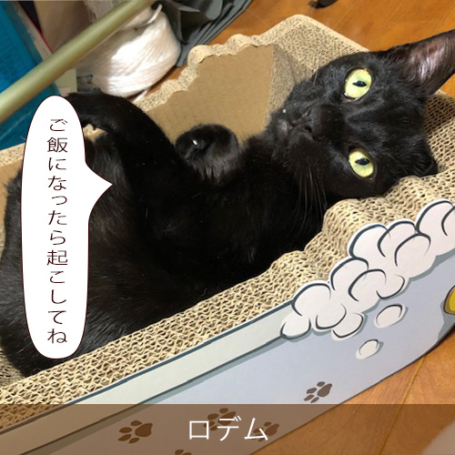20220620_touko.jpg