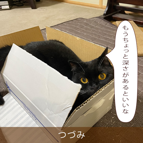 20220627_touko.jpg
