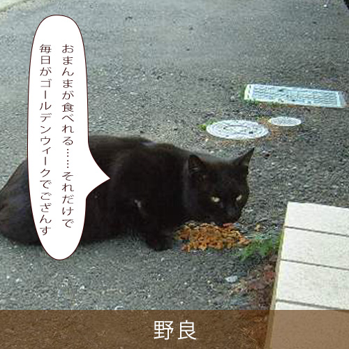 20250502.jpg