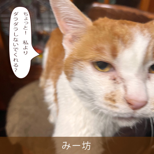 20250521.jpg