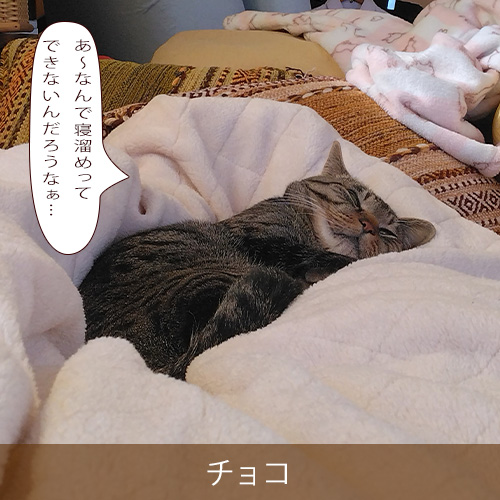 20250522.jpg