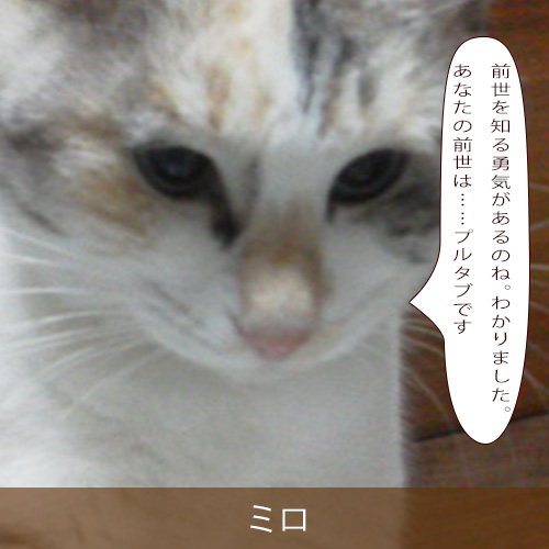 20250726.jpg
