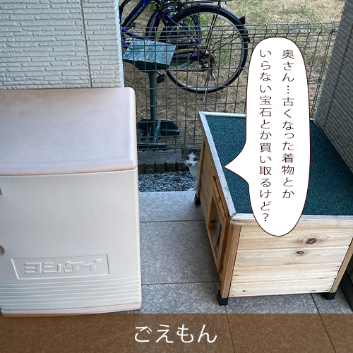 20250906.jpg