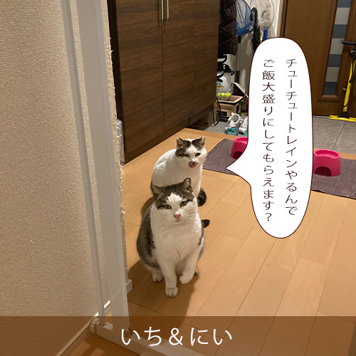 20250910.jpg