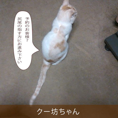 20260502.jpg