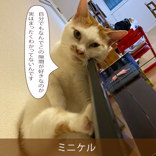 20260507.jpg
