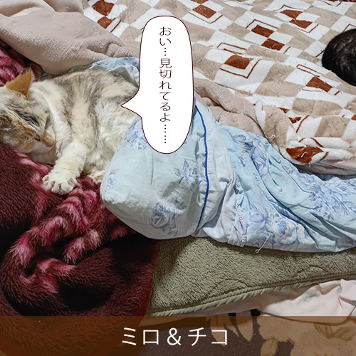 20260617.jpg