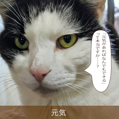 20260708.jpg