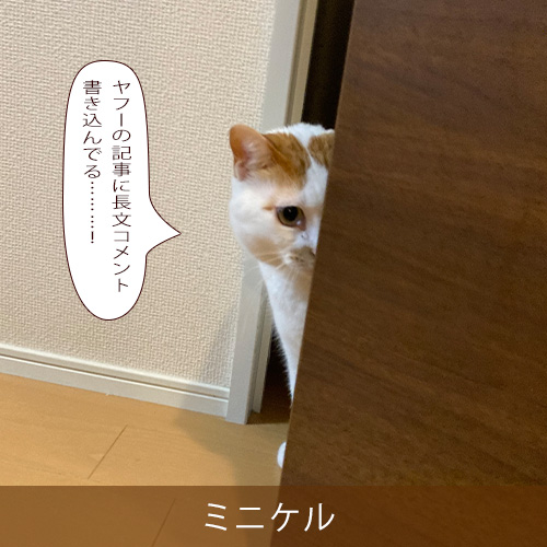 20260718.jpg