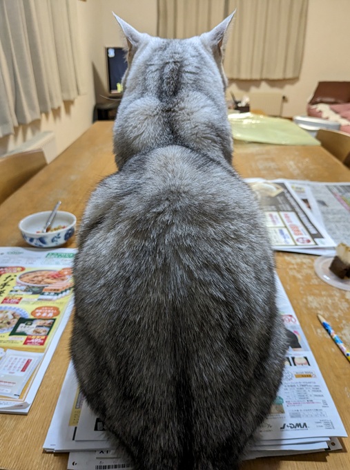 025-11-06 063605rin.jpg