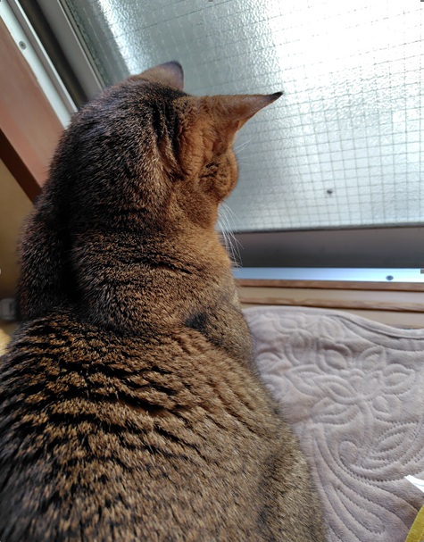 025-11-11 070602.jpg