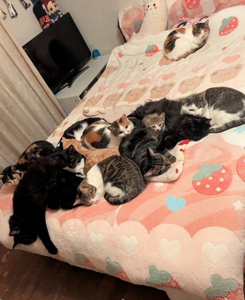 025-12-28 113521.jpg