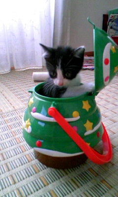 080827_150447.JPG