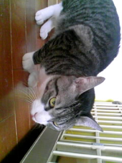 100212_120502.JPG