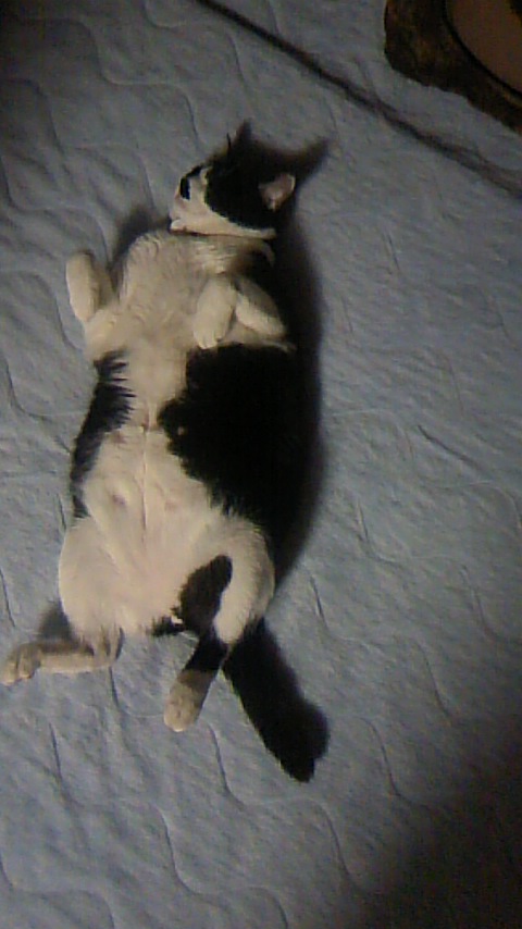 121027_2011~01.jpg