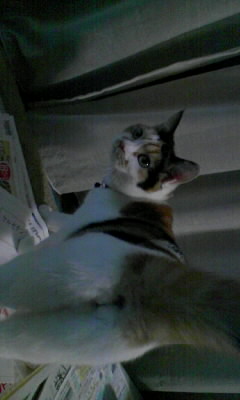 130306_195101.JPG