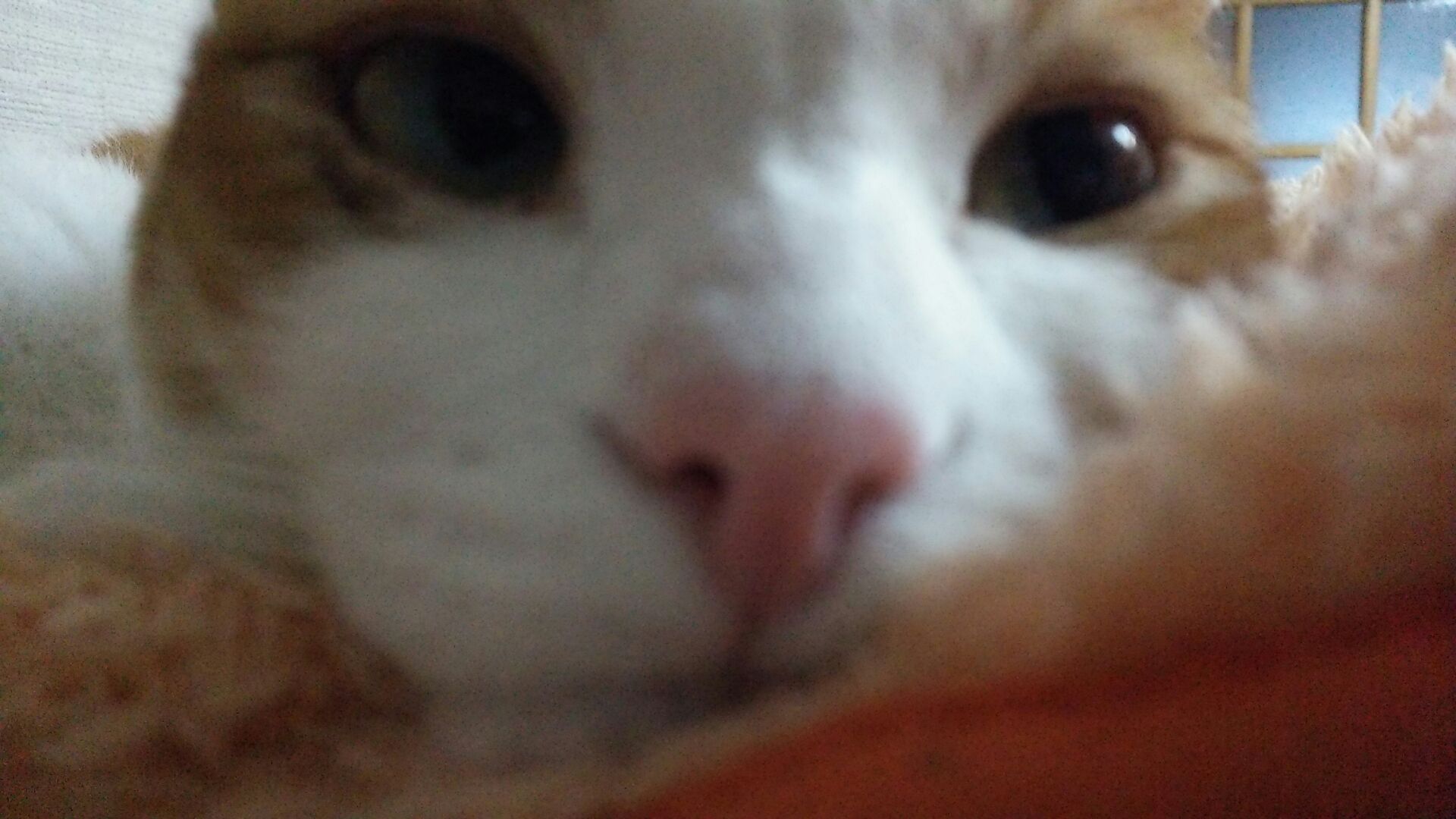 1439716981766.jpg