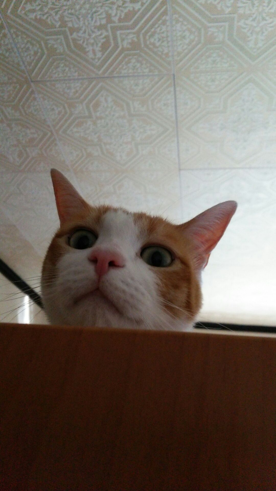 1442903601778.jpg
