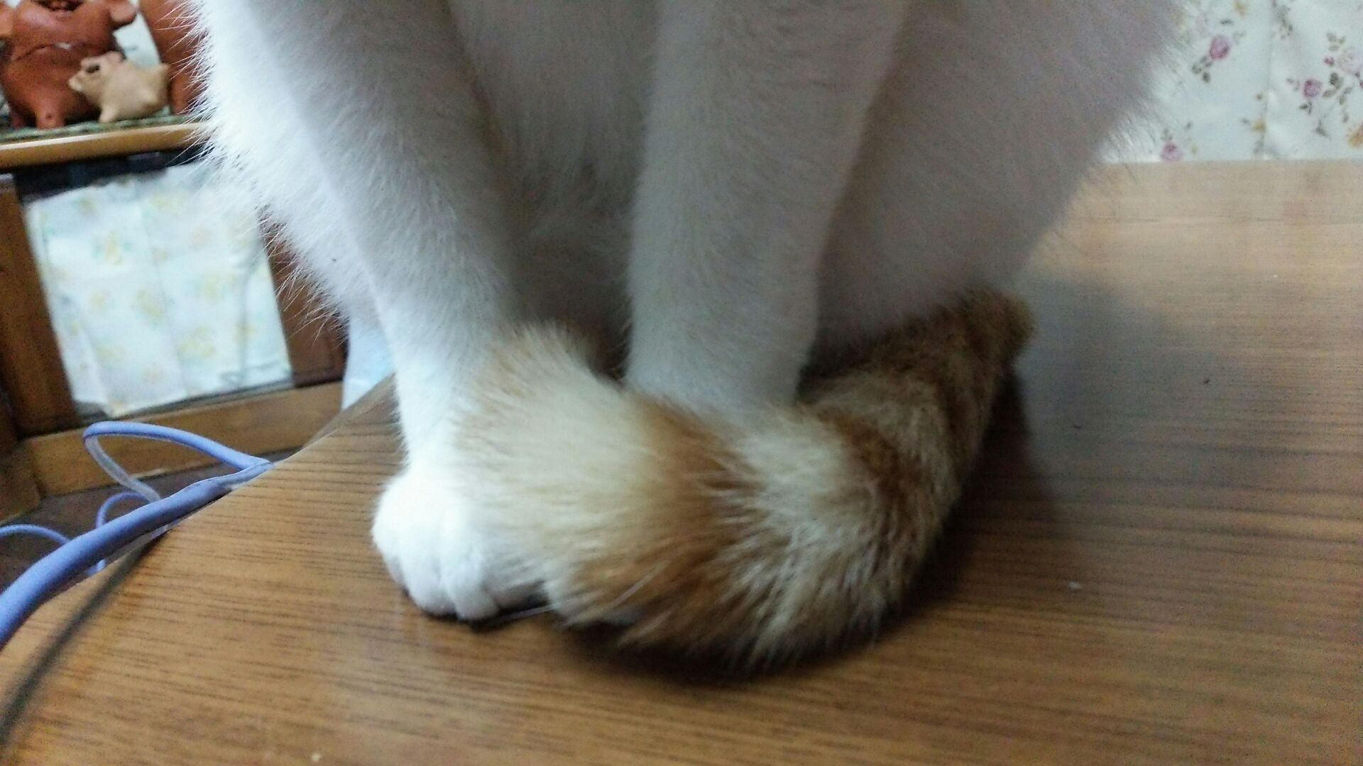 1470034576300.jpg
