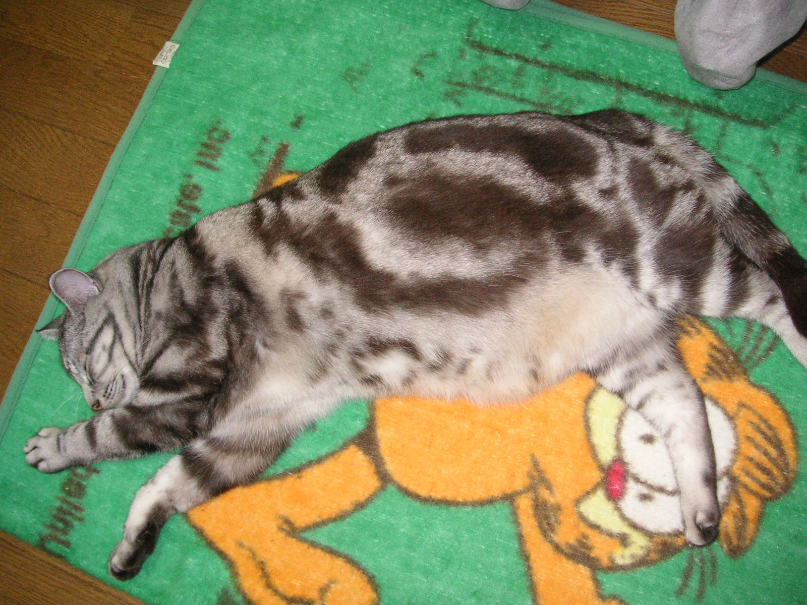 20100316 02.JPG