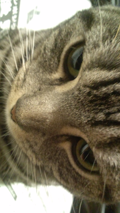 20100726210611.jpg