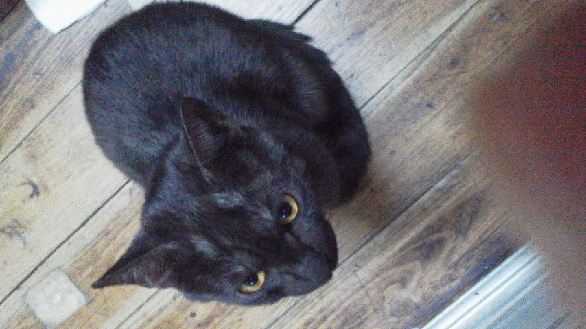 2010121520420000.jpg
