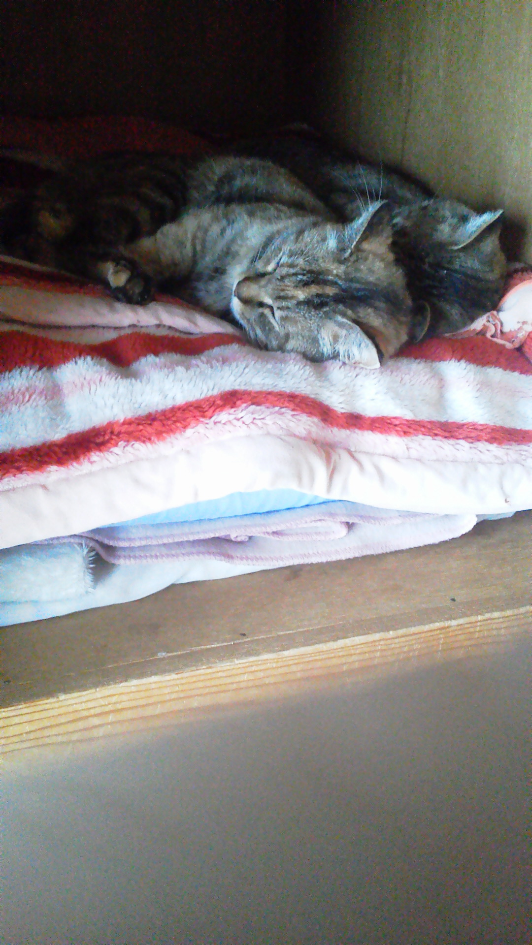 201104221231001.jpg