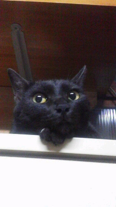 2011071520410000.jpg