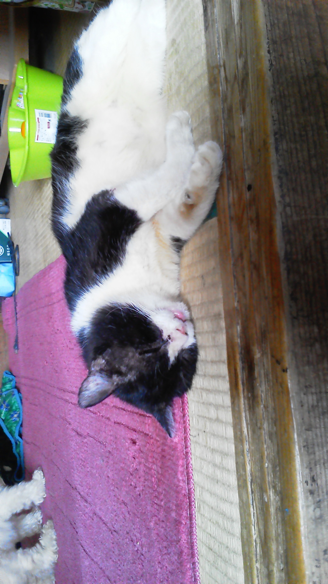 201111011220000.jpg