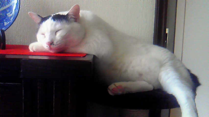 201209011241000.jpg