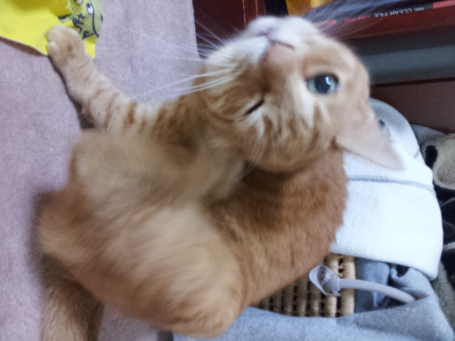 20121130_092537.jpg