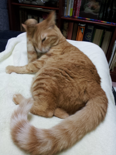 20130219_073049.jpg