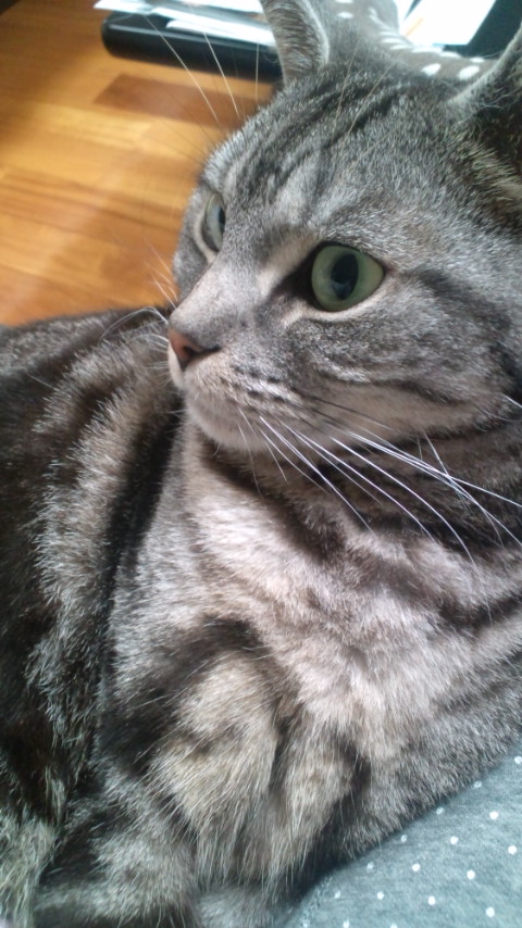 20130529205137.jpg