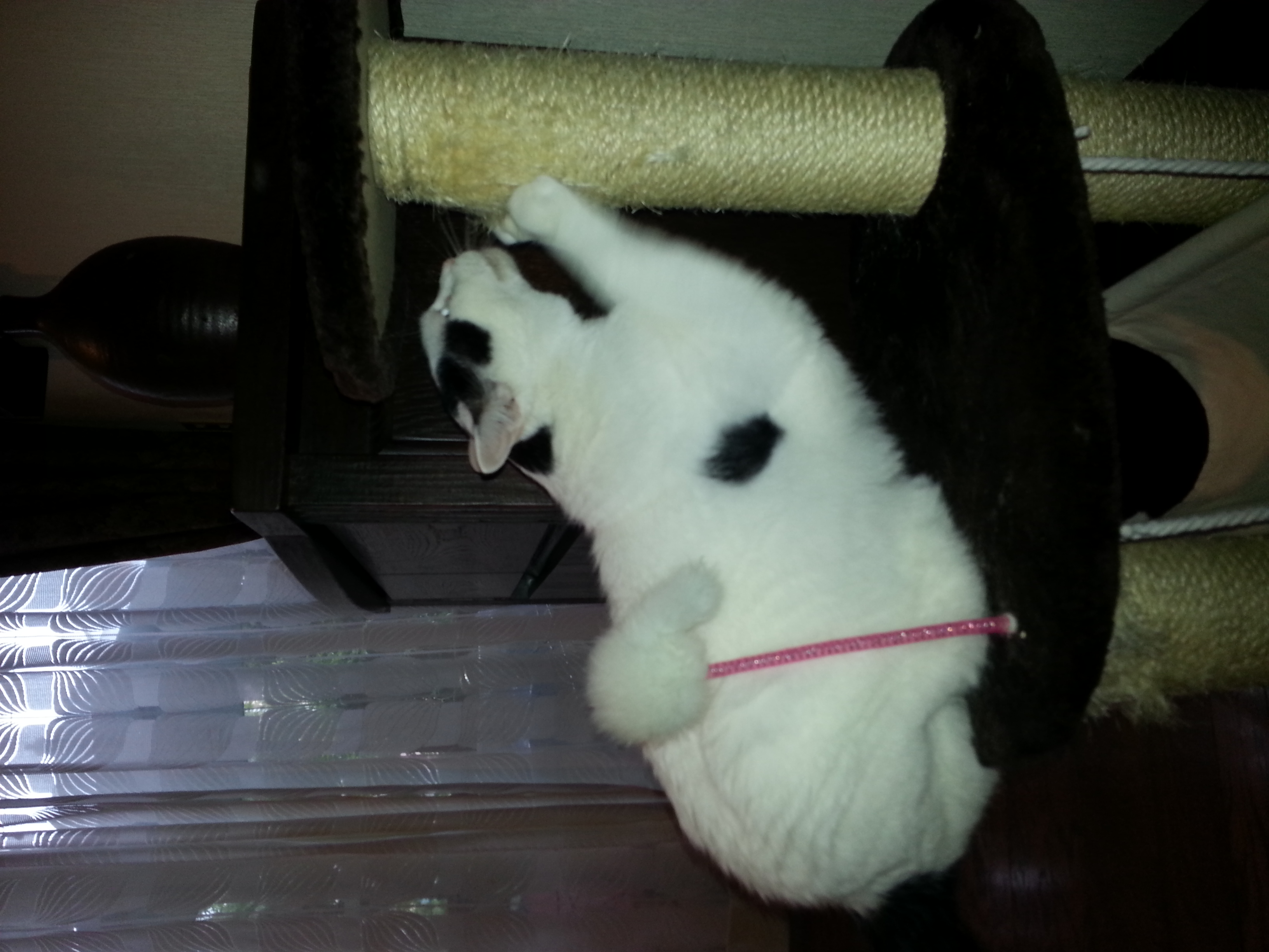 20130626_143048.jpg