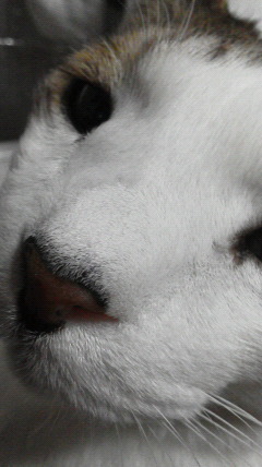 2013122721440000.jpg