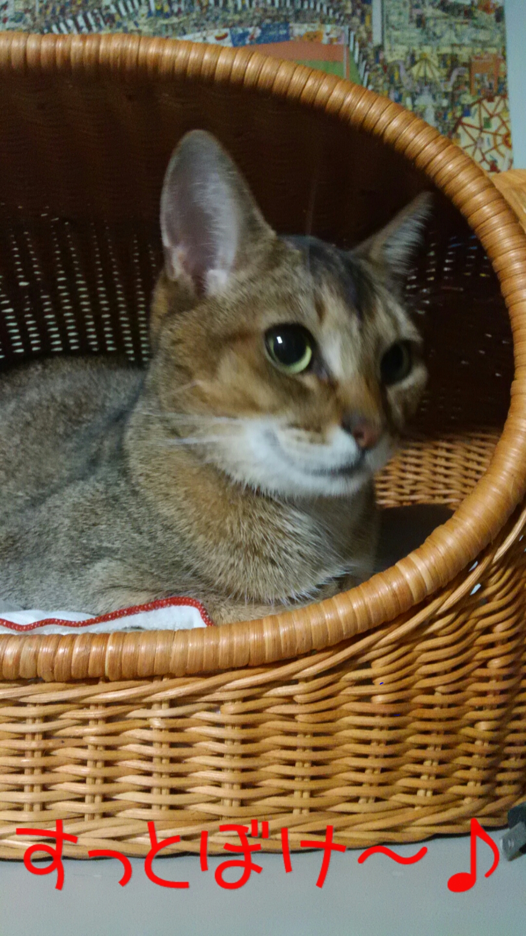 2014-0606-202642676-DI.jpg