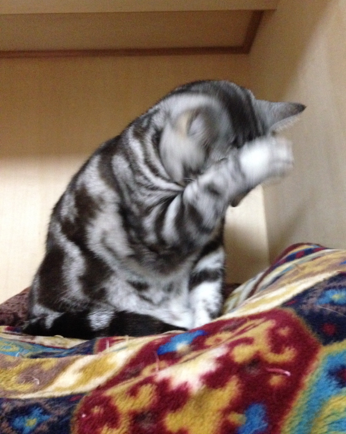20141231-1.jpg